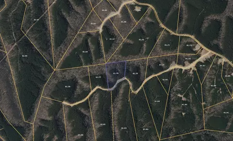 628 Starlight Dr, Linden, TN 37096 photo 7
