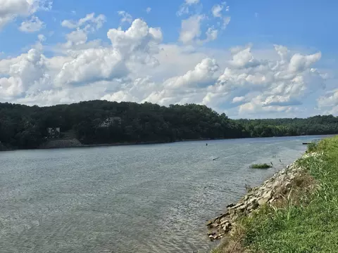 0 Hardin Bottom River Rd, Clifton, TN 38425