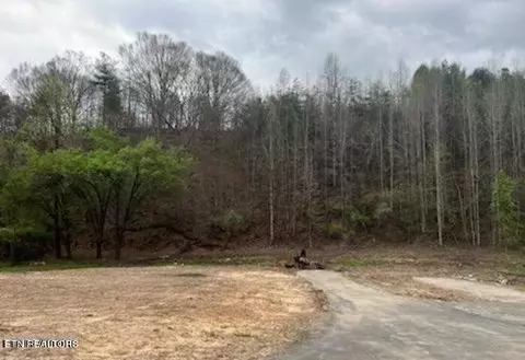 133 Keys Dr, Harriman, TN 37748