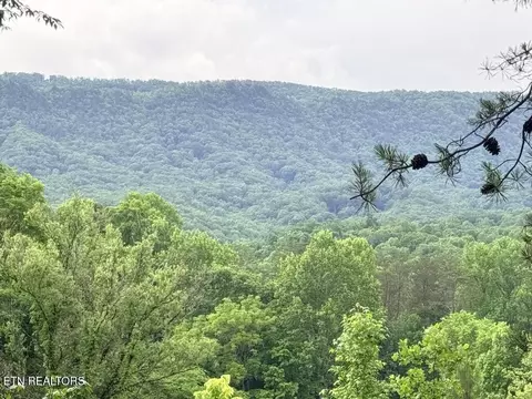 0 Old Chilhowee Rd, Seymour, TN 37865