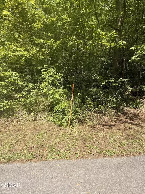 4045 Suttons Rd, Sevierville, TN 37876
