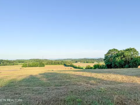 0 Summerset Dr, Talbott, TN 37877 photo 4