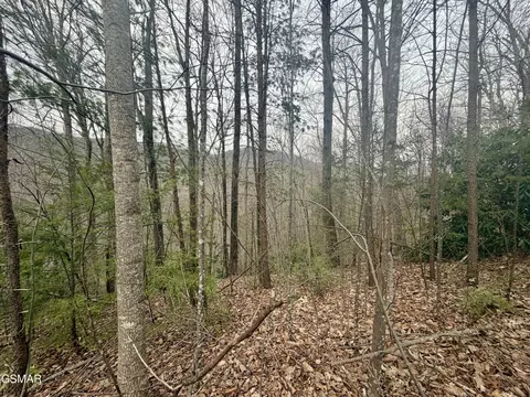 6 Thissa Way, Gatlinburg, TN 37738