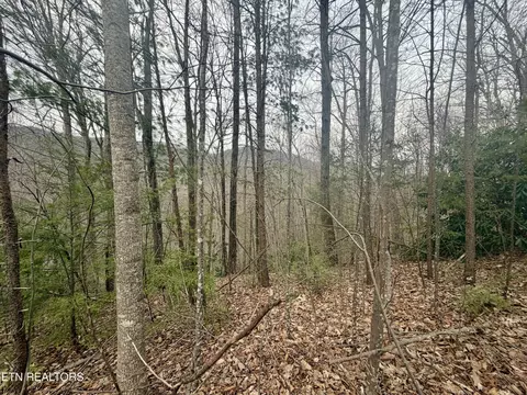 0 Thissa Way, Gatlinburg, TN 37738