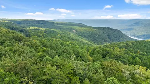 0 Big View Rd, Guild, TN 37340 photo 7