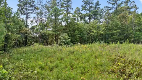 0 Big View Rd, Guild, TN 37340 photo 5