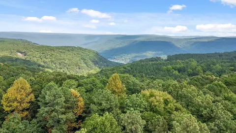 0 Big View Rd, Guild, TN 37340 photo 3