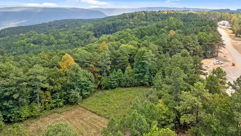 0 Big View Rd, Guild, TN 37340 photo 4
