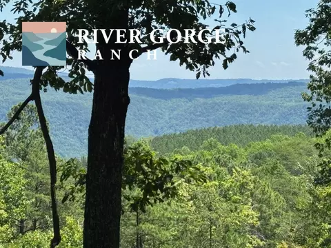 0 Big View Rd, Guild, TN 37340 photo 2