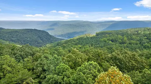 0 Big View Rd, Guild, TN 37340 photo 6