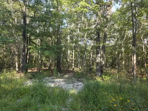 0 Pepper Rd, Taft, TN 38488 photo 4