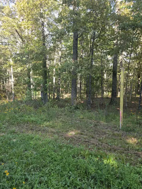 0 Pepper Rd, Taft, TN 38488 photo 3