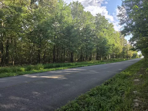 0 Pepper Rd, Taft, TN 38488 photo 5