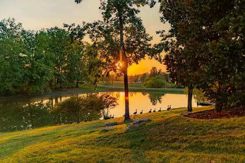 8201 Jolene Dr, College Grove, TN 37046