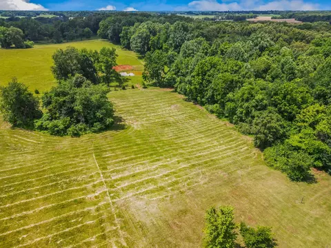 View/Area - 4919 Pulliam Hardaway Rd, Springfield, TN 37172 photo 11 of 16