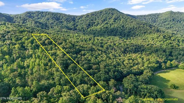 3 Derrick Rd, Sevierville, TN 37876