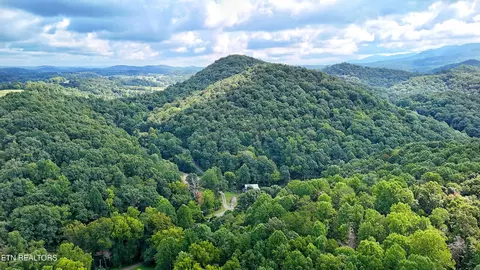 0 Ginseng Way, Parrottsville, TN 37843
