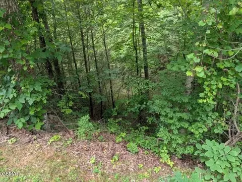 934 Ski Moutain Rd, Gatlinburg, TN 37738