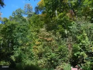 0 Off Hidden Vly, Gatlinburg, TN 37738