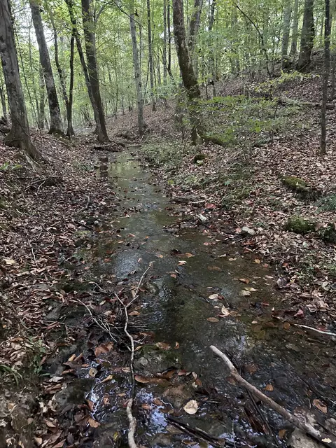 Other - 700 Old Johnson Lake Rd, Loretto, TN 38469 photo 13 of 22