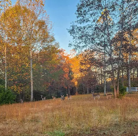 Exterior - 700 Old Johnson Lake Rd, Loretto, TN 38469 photo 1 of 13
