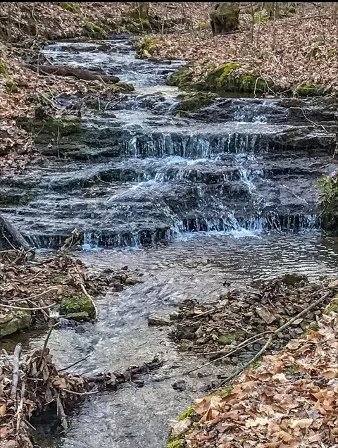 Other - 700 Old Johnson Lake Rd, Loretto, TN 38469 photo 2 of 22