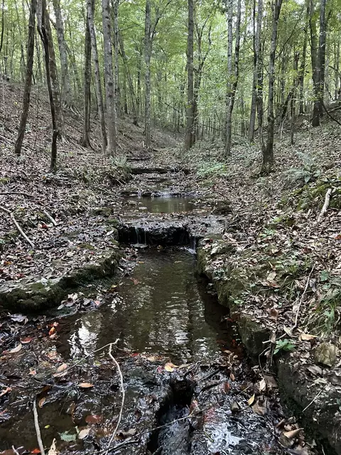 Other - 700 Old Johnson Lake Rd, Loretto, TN 38469 photo 11 of 22
