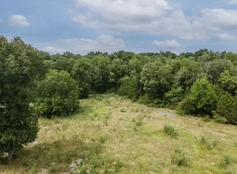 488 Lower Halls Mill Rd, Shelbyville, TN 37160