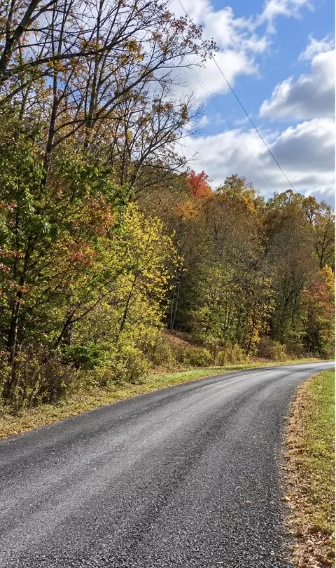 0 Carpenter Rd, Dellrose, TN 38453