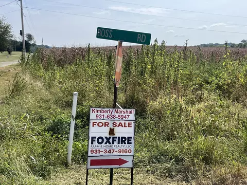 280 Ross Rd, Pulaski, TN 38478 photo 12