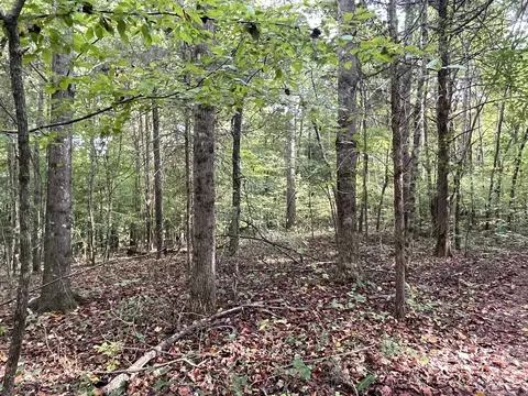 0 Waters Rd, Centerville, TN 37033 photo 15
