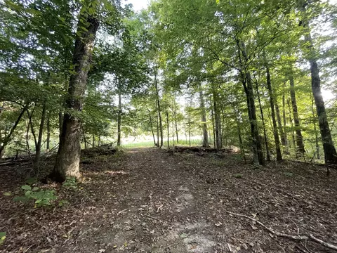 0 Waters Rd, Centerville, TN 37033 photo 12
