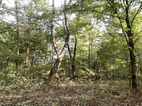 0 Waters Rd, Centerville, TN 37033 photo 14