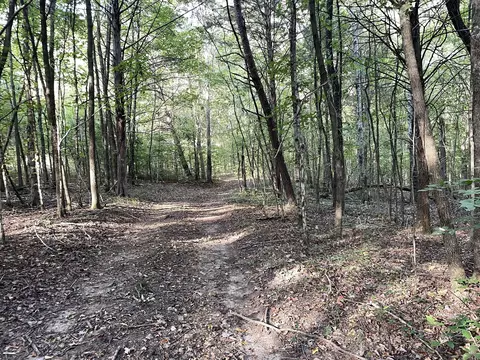 0 Waters Rd, Centerville, TN 37033 photo 6