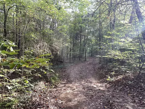 0 Waters Rd, Centerville, TN 37033 photo 5