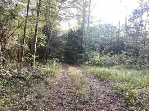 0 Waters Rd, Centerville, TN 37033 photo 16