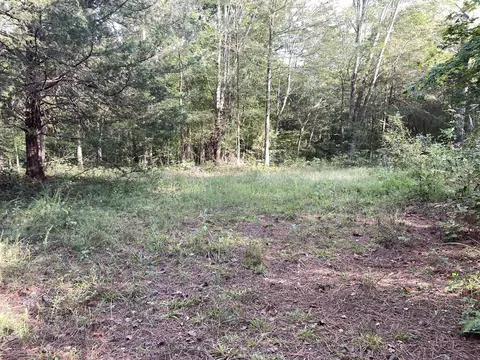 0 Waters Rd, Centerville, TN 37033 photo 10