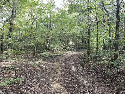 0 Waters Rd, Centerville, TN 37033 photo 3