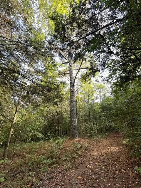 0 Waters Rd, Centerville, TN 37033 photo 8