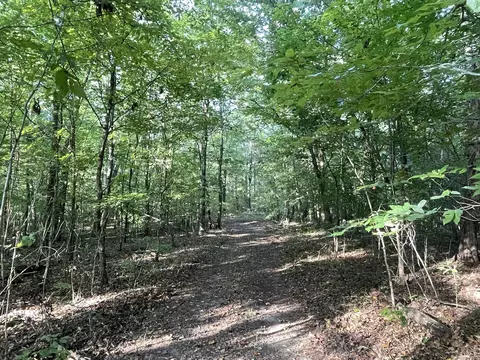 0 Waters Rd, Centerville, TN 37033 photo 11