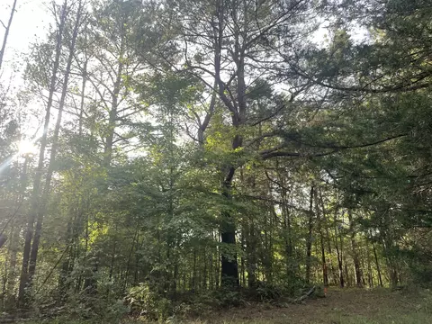 0 Waters Rd, Centerville, TN 37033 photo 17