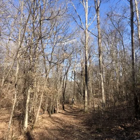 1455 Hillcrest Rd, Dickson, TN 37055 photo 13