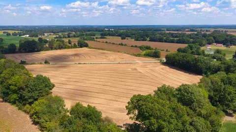 0 Marion Dodd Loop, Trenton, TN 38382 photo 16