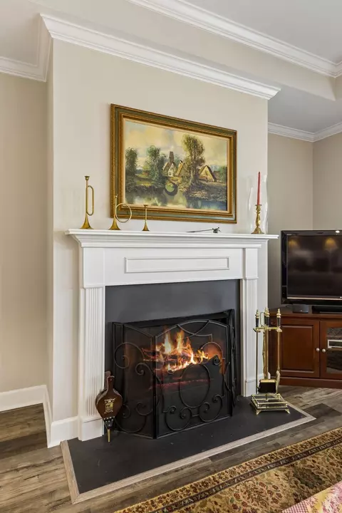 Living - 237 Star Pointer Way, Spring Hill, TN 37174 photo 5 of 5