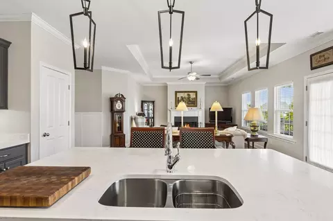 Kitchen - 237 Star Pointer Way, Spring Hill, TN 37174 photo 1 of 9