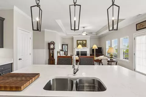 Kitchen - 237 Star Pointer Way, Spring Hill, TN 37174 photo 4 of 9