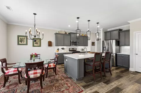 Kitchen - 237 Star Pointer Way, Spring Hill, TN 37174 photo 8 of 9