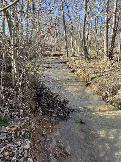 4061 Sawmill Rd, Woodlawn, TN 37191