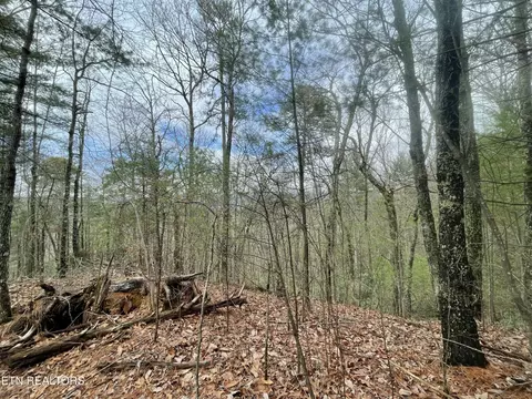 0 Walnut Flats Rd, Walland, TN 37886