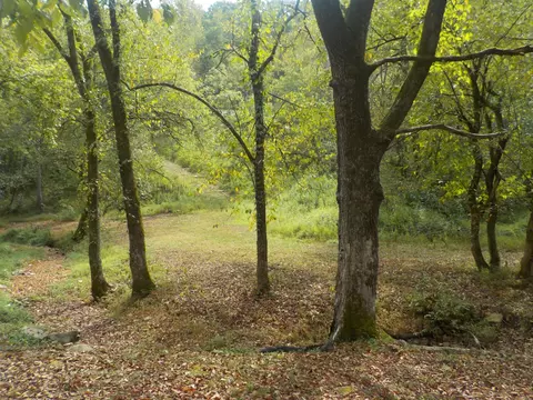 0 Rogues Fork Rd, Bethpage, TN 37022 photo 3